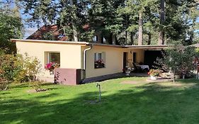 Ferienhaus Rückert